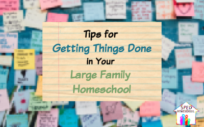 large family homeschool blog image